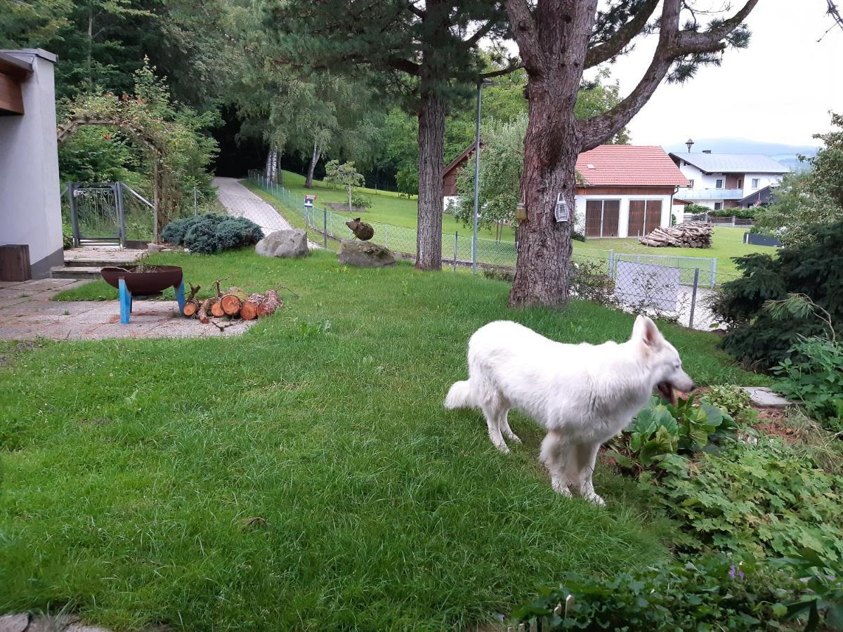 Ferienwohnung Bliem Feldkirchen In Kaernten Bagian luar foto